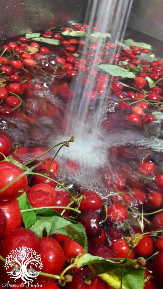 cherries-1-Aroma-di-Puglia.jpg